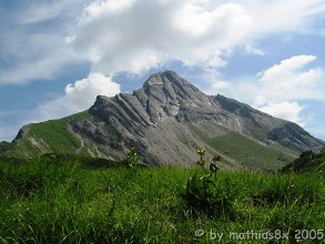 Biberkopf im Allgaeu