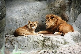 Zoo Hannover