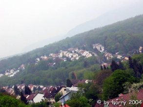 Blick auf die Bannhalde vom Kirchturm