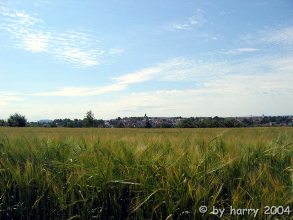 Blick auf Grosachsenheim