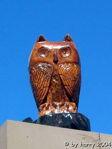 Eule am Sachsenheimer Bauhof