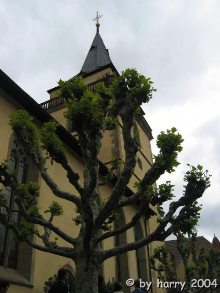 Kirchturm der Sachsenheimer Stadtkirche