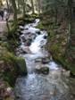 erstes Wegstck durchs Gottschlgbachtal
