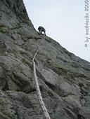 Klettersteig Großder Ifinger