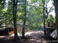 Ruine Blankenhorn