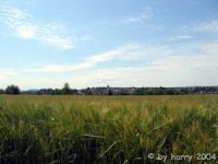 Blick auf Grosachsenheim von Kleinsachsenheim